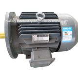 Y2 Series Asynchronous Y Series Electric Motor