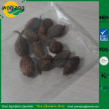 Top Grade Cardamom Seeds Price