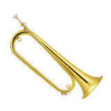 Spanish Horn (SH-2490)