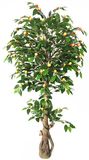 Artificial Mini Fruit Trees Artificial Red Jujube Fruit