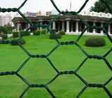 PVC Wire Netting BWG27-BWG14
