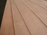 Various Commercial Plywood/Film Faced Plywood/Melamine Plywood