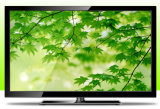 TV 55 Inch LED TV (LE55A2)