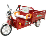 User-Friendly Electric Vehicle for Cargo (DCQ200-22F)