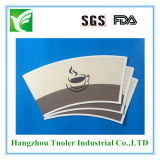 Paper Cup Paper Biggest Supplier for Cup
