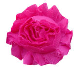 Wholesale 6.5cm Chiffon Chic Shabby Rose Flower Trim for Hair Flower, Shabby Chiffon Flower Lace (HD30)