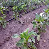 Agriculture PE Plastic Drip Irrigation Pipe