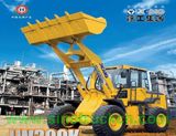 Wheel Loader (LW500F)