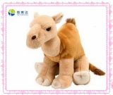 Cute Dromedary Stuffed Toys (XMD-0131C)