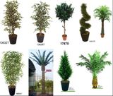 Artificial Plants