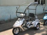 Gasoline Tricycle (TH-50QCT)