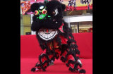 High Quality Pur Lion Dance Costume of Pure Wool