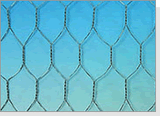 Hexagonal Wire Netting