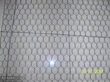 Hexagonal Wire Netting