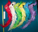 Artificial Feather Parrot