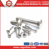 Stainless Steel Carriage Bolt DIN603 / Cup Head Square Neck Bolts