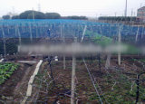 High Quality HDPE Plastic Hail Guard Net