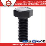 Fastener Hex Screw Gr10.8 with Black