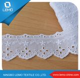 Hot Sale New Design Organza Tc Lace Design