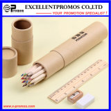 12PCS Promotion 7 Inch Colour Wood Pencil Set with Ruler, Sharpener, Eraser in Paper Tube (EP-P9077)