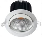 Manufacture COB LED Recessed Lighting/ LED Lighting