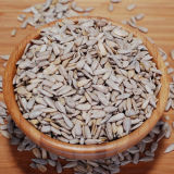 High Quality China Sunflower Seed Kernel for Wholesale
