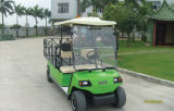 Cheap 2 Person Electric Golf Cargo Car (LT-A2. H8)