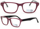 2012 New Design Acetate Eyewear Stylish Optical Frame Acetate Sheet for Glasses (BJ12-122)