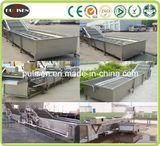 Fruit and Vegetable Washing Machine