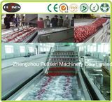 Fruit Washer Machine