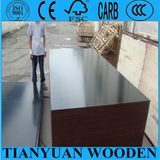 Film Faced Plywood Shutter/1220*2440mm Formwork Plywood