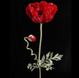 Poppy Flower for Home Decor