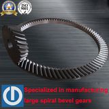 Zp495 Spiral Bevel Gears for Crusher