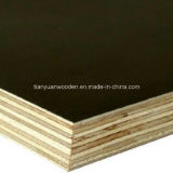Shuttering Film Faced Plywood/ Construction Plywood