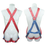 Safety Harness - 2 D Ring Model# DHQS020
