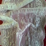 Nice Nylon Spandex 23cmwidth Lace Trim for Lingeries