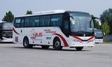 Top Quality Long Coach of Sinotruk 39 Seats