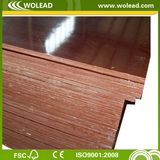 Eucalyptus Core Dynea Brown Film Faced Plywood for (w15527)