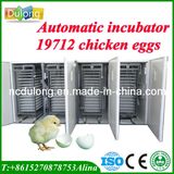 CE Approved Automatic Chicken Egg Incubator That Hold 19712 Eggs