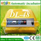 Wholesale 42 USD Automatic Chicken Egg Incubator Eggs