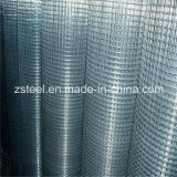 Gi Wire Mesh / Ss Wire Mesh