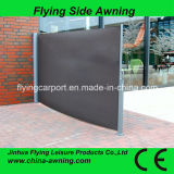 Jinhua Cheap Simple Aluminum Double Side Awning