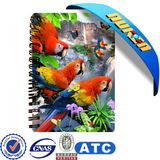 Cheap School Notebook Spiral Notebook