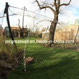 Stainless Steel Cable Bird Netting