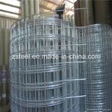 Galvanized Steel Welded Wire Mesh