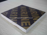 WBP Grade Brown Marine Plywood with Logo