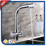 Filter Water Brass Kitchen Faucet (HC17123)