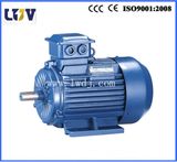 Y2 Electric Motor