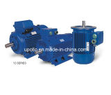 Y2 Series Cast Iron Three Phase Electric Motor (CE approved)