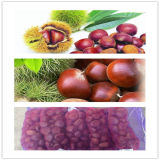 2015 Chinese Organic Fresh Chestnuts